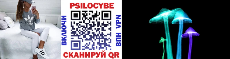 Псилоцибиновые грибы Cubensis  MEGA как зайти  Чкаловск 